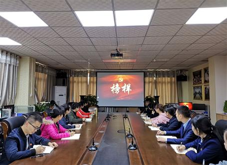 向榜樣看齊，做合格黨員