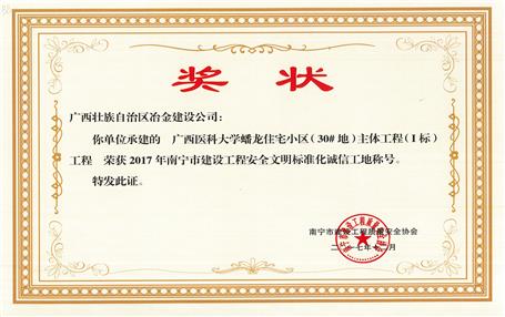 南寧分公司四個項目獲表彰！