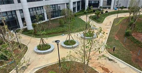 【提升“三力” 爭創(chuàng)佳績】第三分公司項(xiàng)目通過預(yù)驗(yàn)收交付使用