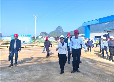 黃小雪到冶建桂鴻分公司項目調(diào)研指導(dǎo)工作