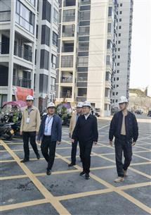 廖立波到項目開展一季度暨復(fù)工復(fù)產(chǎn)綜合大檢查